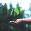 Wat betekent ‘klimaatpositief’? Uitleg en voorbeelden