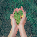Wat betekent zero waste en hoe kun je zelf beginnen?