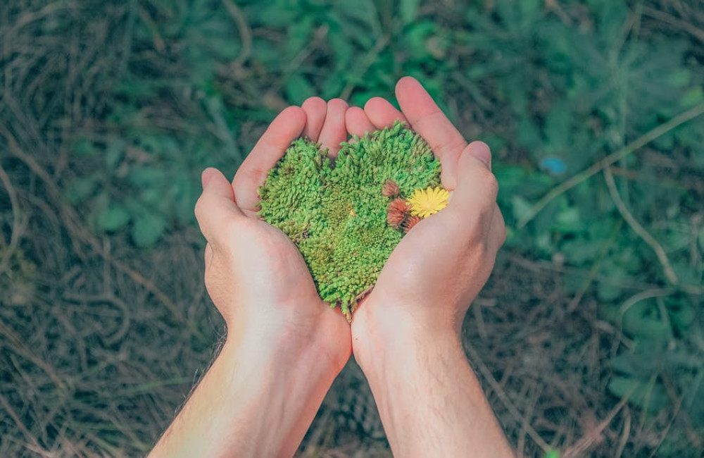 Wat betekent zero waste en hoe kun je zelf beginnen?
