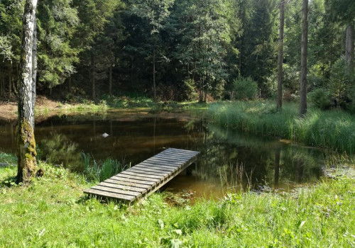 Vurige Vijvers Genk: dagje uit met wandelroutes en fotospots