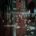 Waarom ruikt het altijd sterker na een regenbui?