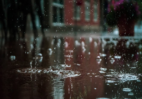 Waarom ruikt het altijd sterker na een regenbui?