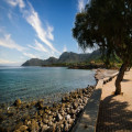 Cala Ratjada centrum: wegwijs in het hart van deze badplaats op Mallorca