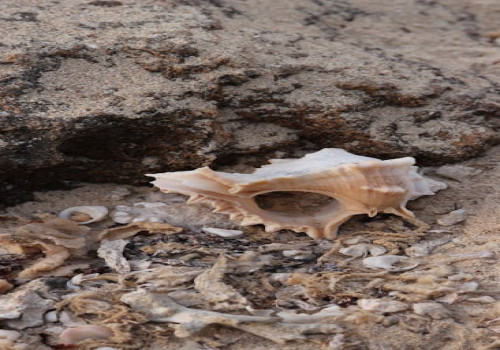 Wat betekent het als je overal synchroniciteit ziet in je dagelijks leven