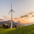 Wat betekent greenwashing? Uitleg en voorbeelden
