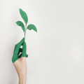 Hoe duurzaam online shoppen onze impact op de wereld kan verkleinen